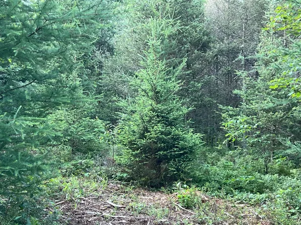 LOT 5 River Hill Rd, Conover, WI 54519