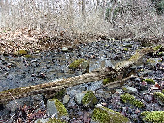 Stream through property