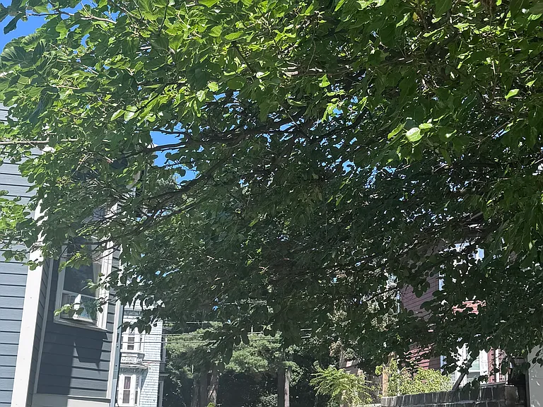 54 Heard St #2 — Photo 2
