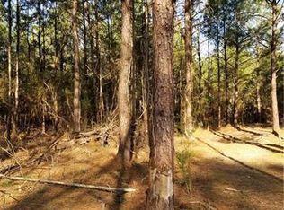 38688 Raiford Rd, Ponchatoula, LA 70454