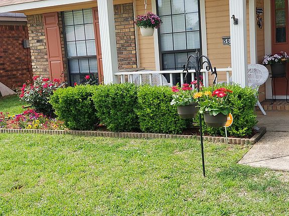 Front yard