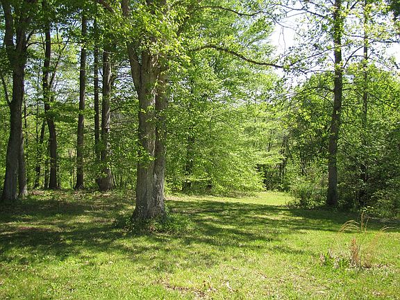 3rd image of 602 Johnny Ln.