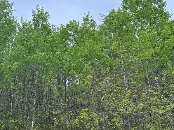 Burrows Lake Rd Lot 8, Tomahawk, WI 54487