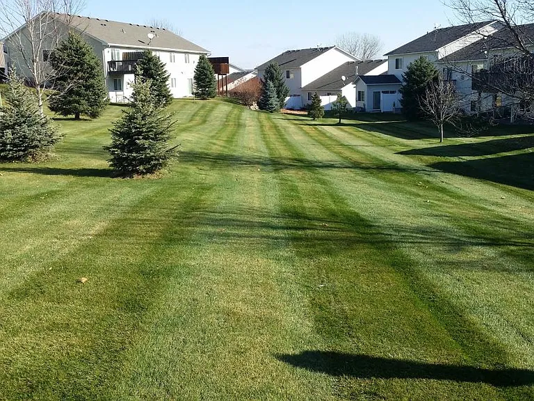 A huge back yard!