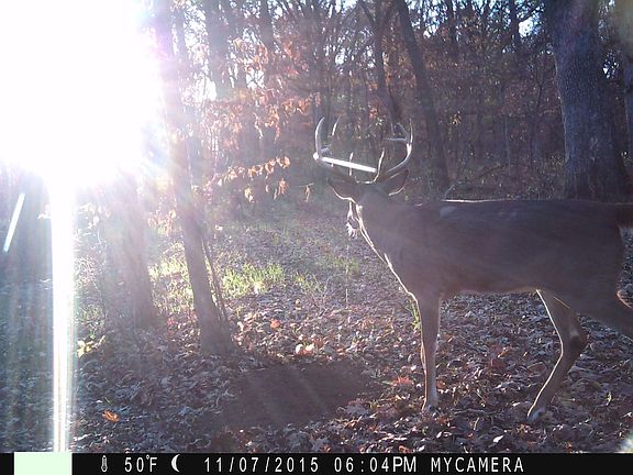 3rd image of 8005 SE State Route 116
