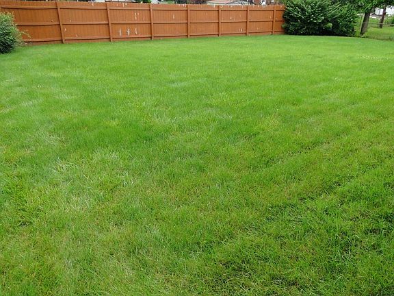 Nice Fenced Backyard