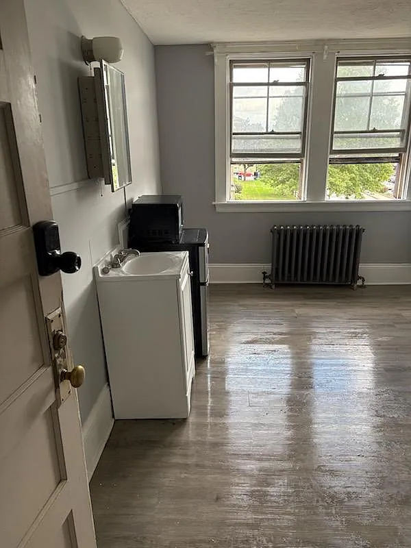 1 bed, 350 sqft, $900 — Photo 4