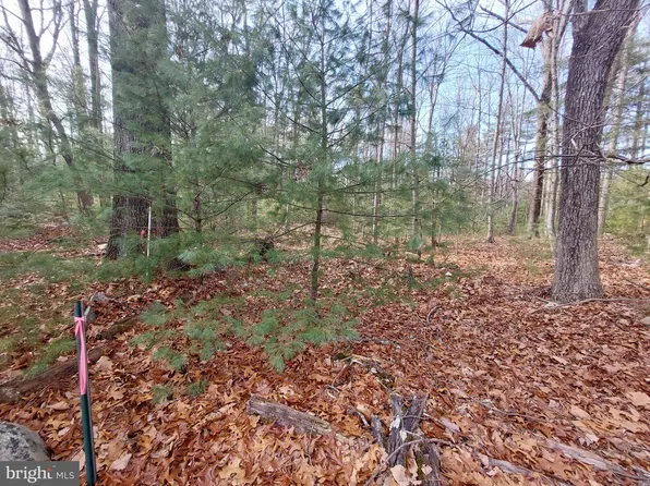 Oak Dale Ct, Capon Bridge, WV 26711