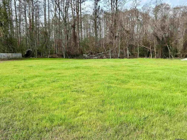 26265 Riverscape Dr, Springfield, LA 70462