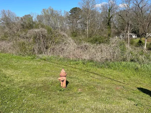 0 Franklin Rd #1, Roanoke, AL 36274