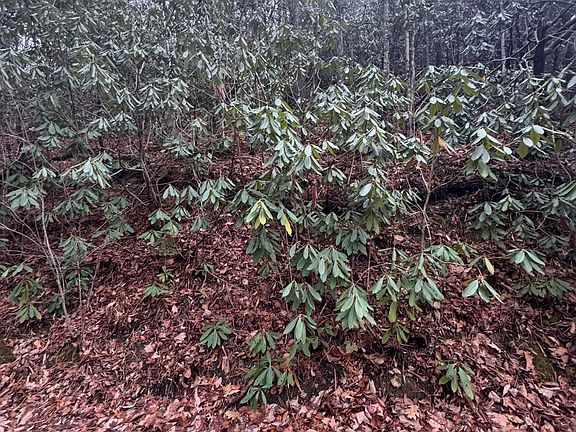 2nd image of LOT 14 John Sevier Dr