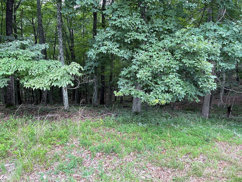 2nd image of 118 Brummel Way