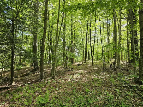 00 Kennedy Brook Drive, Stoddard, NH 03464