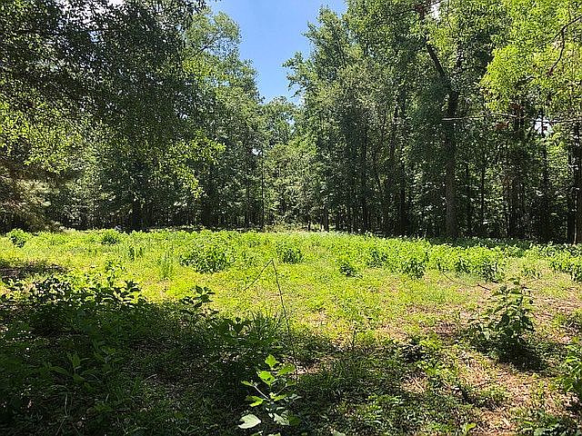 2nd image of Creekside Dr #0