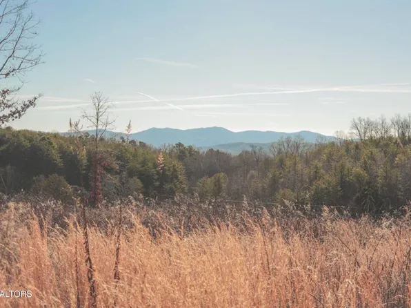 10 & 11 Curtis Rd, Tellico Plains, TN 37385