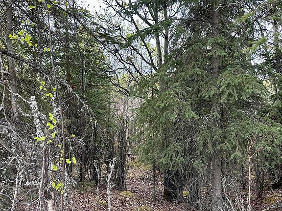 3rd image of 28411 Sterling Hwy