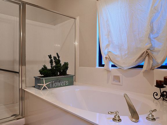 Master Tub and Shower