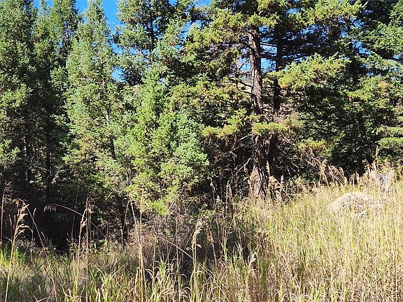3rd image of 373 Mary Ann Creek Road #2