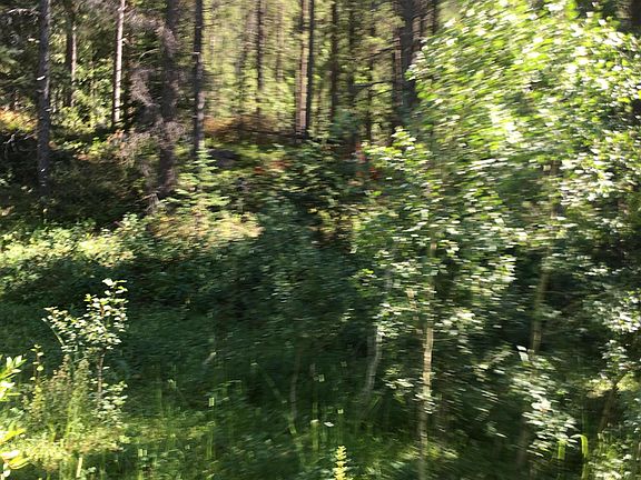 4th image of 165 N Fork Spur