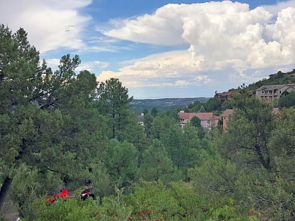 3rd image of 1549 Scotch Pine Dr