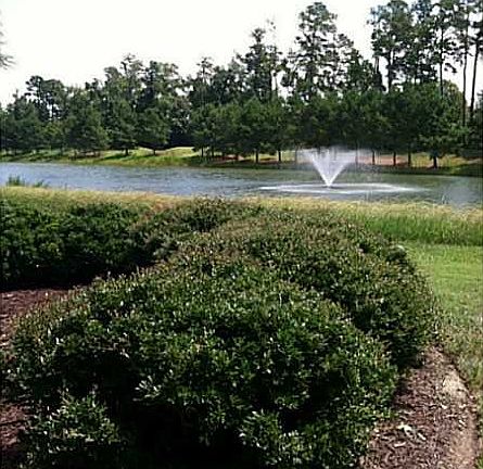 4th image of 960 Lambourne Ln