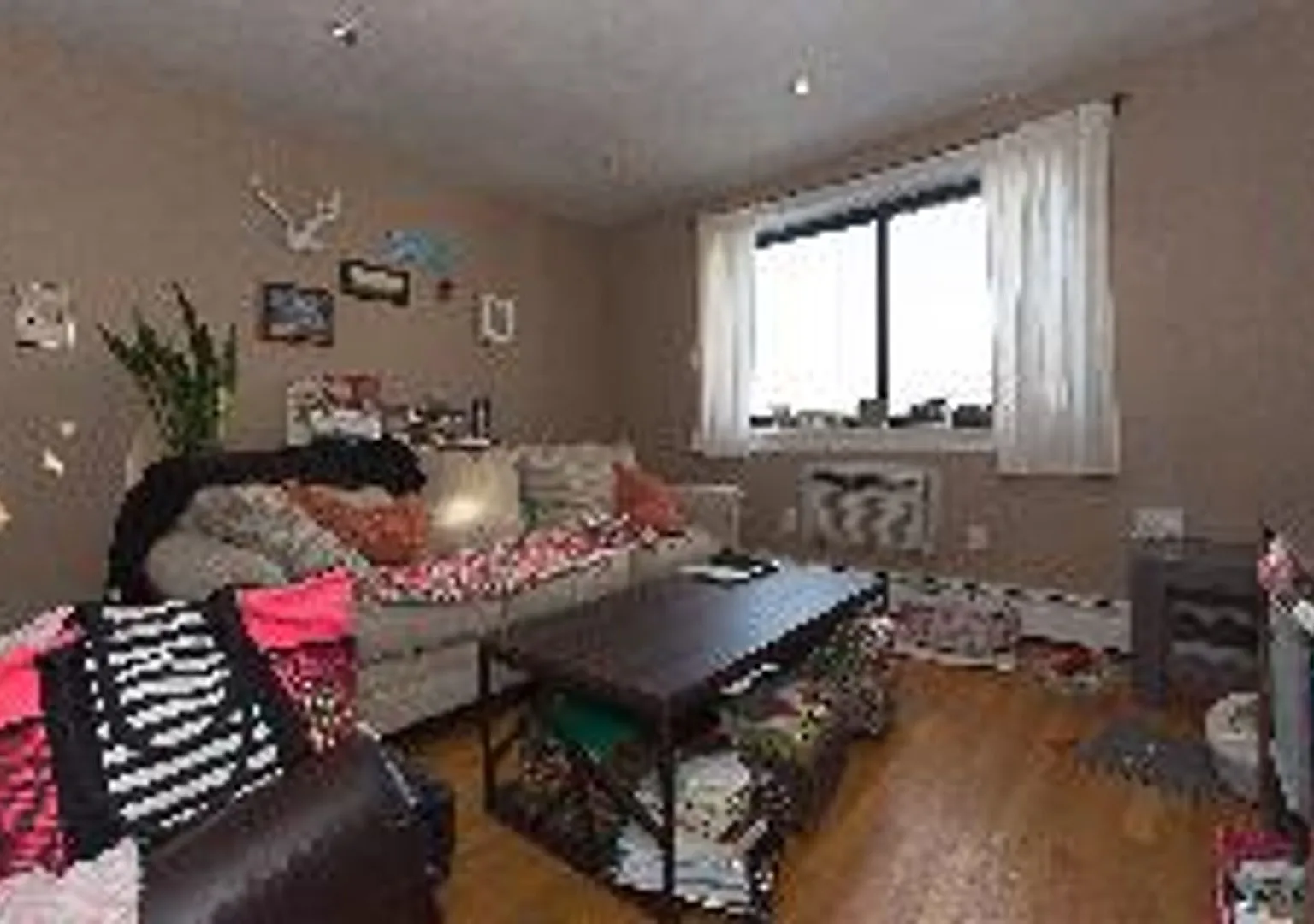 Pet Friendly 1 Bed In Packard's Corner! Heat/Hot Water Included — Photo 2