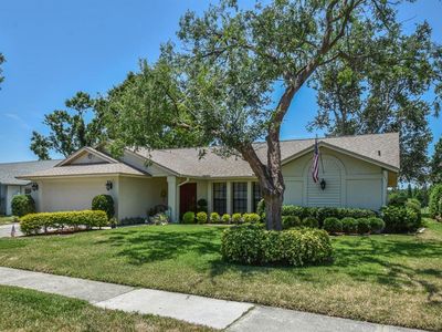 2517 Bucknell Dr, Valrico, FL, 33596