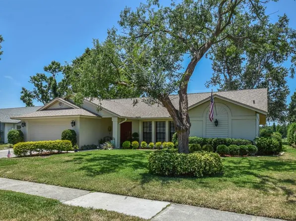 2517 Bucknell Dr, Valrico, FL 33596