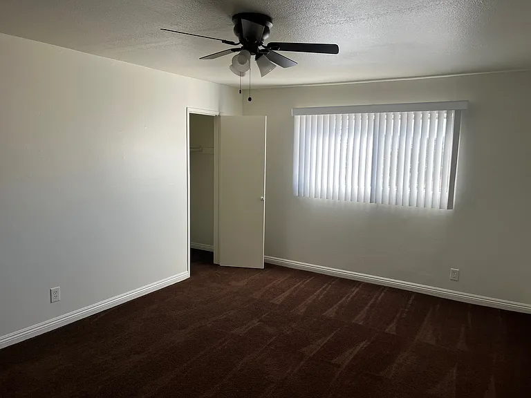 Tradewinds — Photo 16
