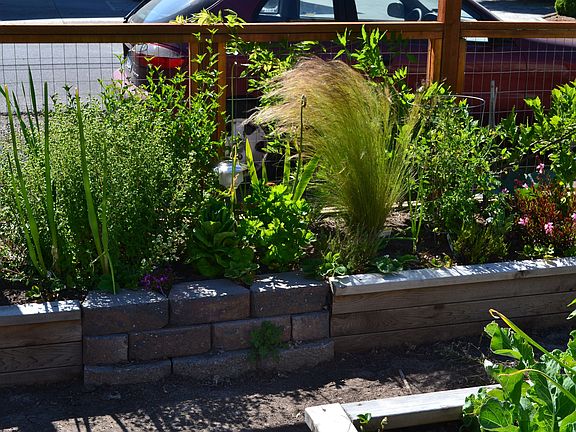 Garden/landscape filling in