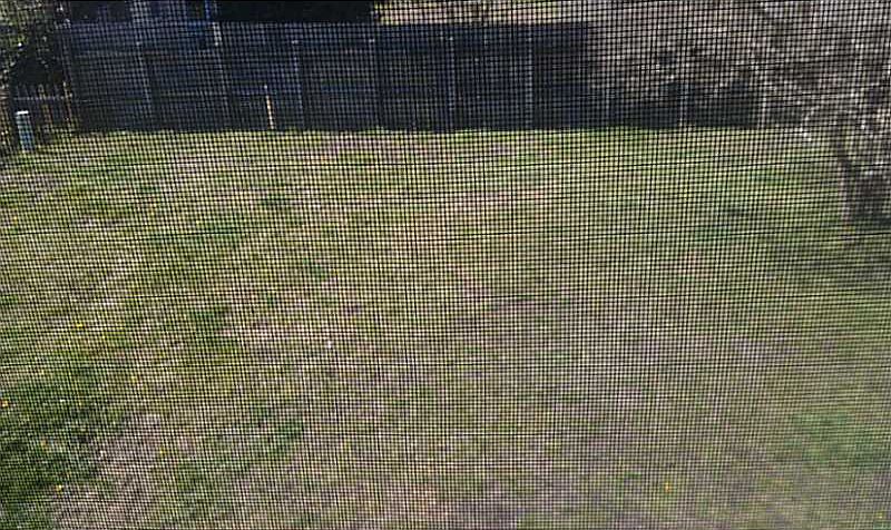 2nd image of 1709 Gravenhurst Dr