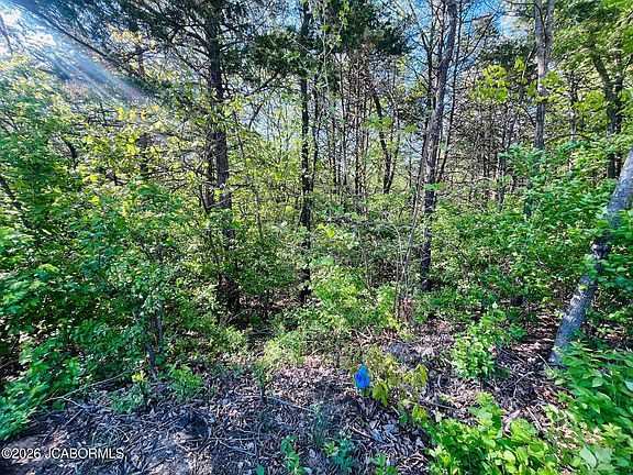 3rd image of LOT 67 Woodstone Rise