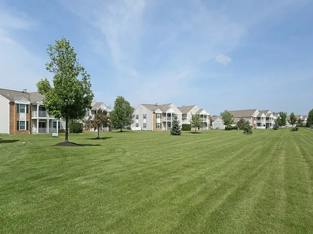 Lush Landscaping