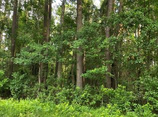 86 Clark St, Richmond Hill, GA 31324