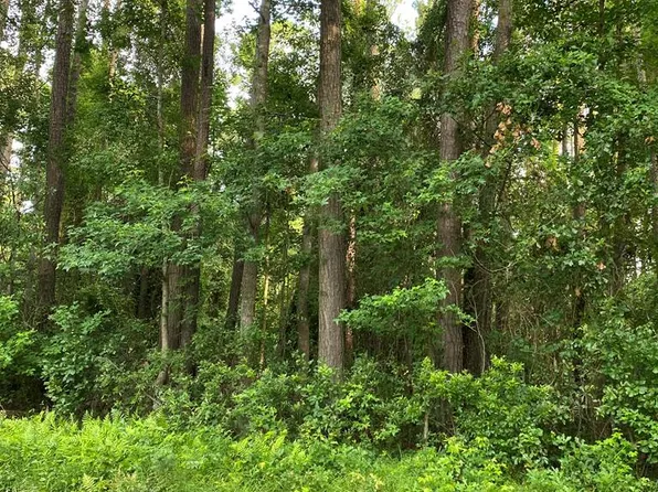 86 Clark St, Richmond Hill, GA 31324