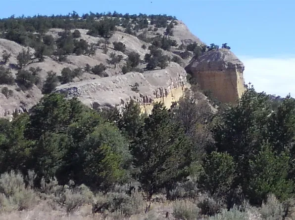 Highway 96, Gallina, NM 87017