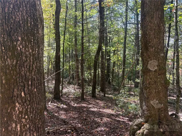 Lot #24 Eagles Nest Lane, Glade Valley, NC 28627