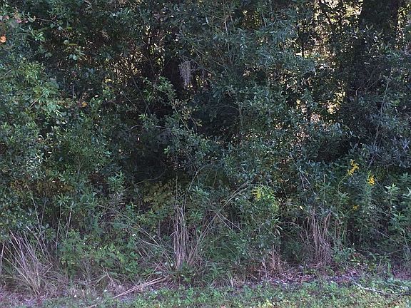 4th image of 141 SW Woodleaf Ct