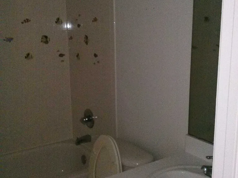 2445 Daffadil Ter — Photo 10