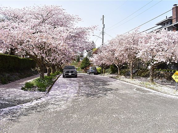 3rd image of 2310 3rd Ave N