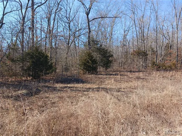 837 Pine Ridge Rd, Bonne Terre, MO 63628