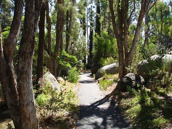 Another View Along Trails