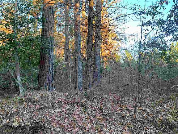 3rd image of 1 Mile South Of Cir #23