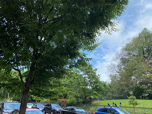 Rented by Corcoran | media 20