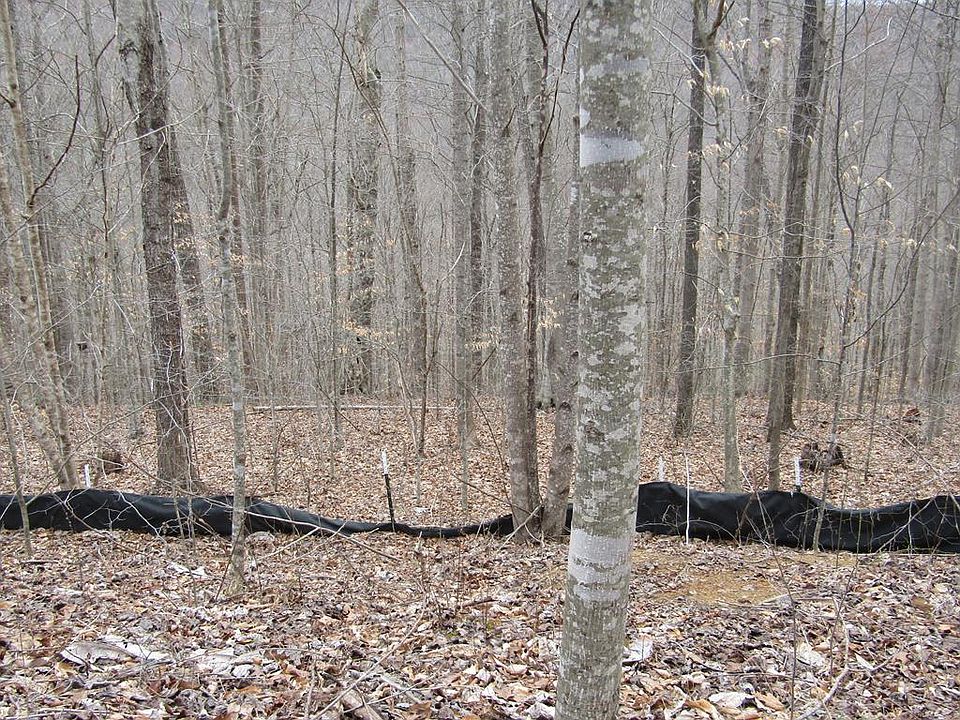 1st image of 60 W Bobcat Ln