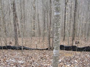 60 W Bobcat Ln, Wilder, TN 38589