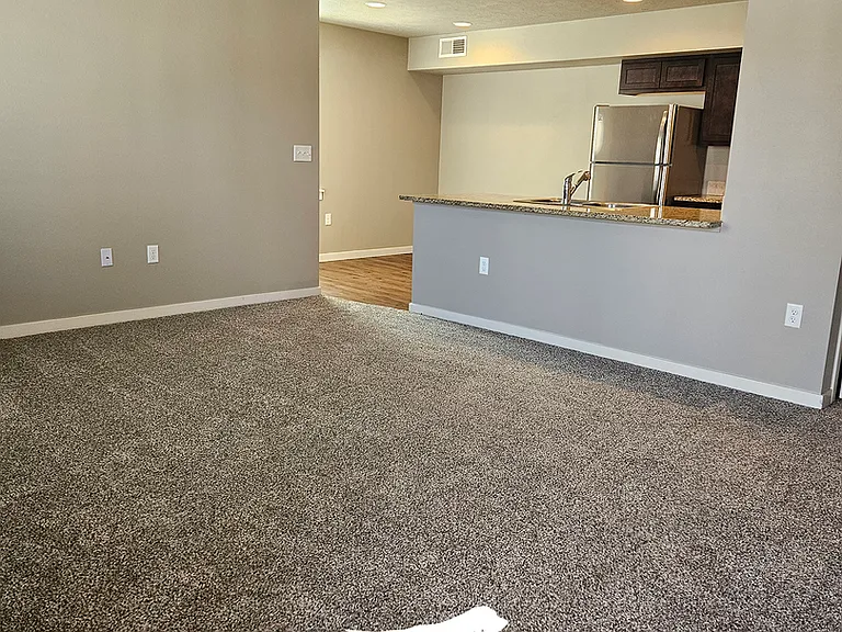 811 E Wandering Ln — Photo 8