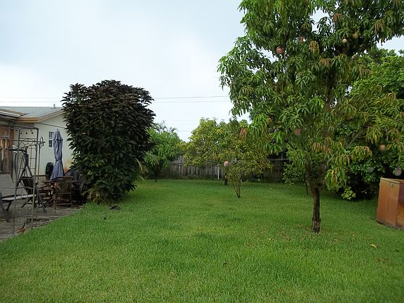 Back yard
