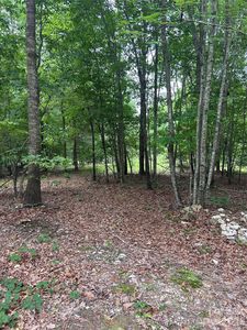 0 Wadeville Rd, Mount Gilead, NC, 27306