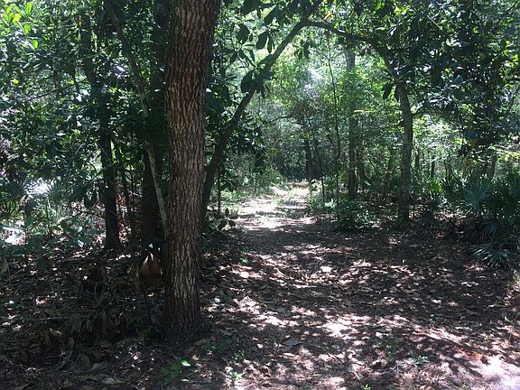 5th image of 7 Woodland Bayou Dr